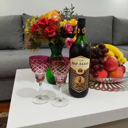 公寓 Palace Luxury The Heart Of 贝尔格莱德